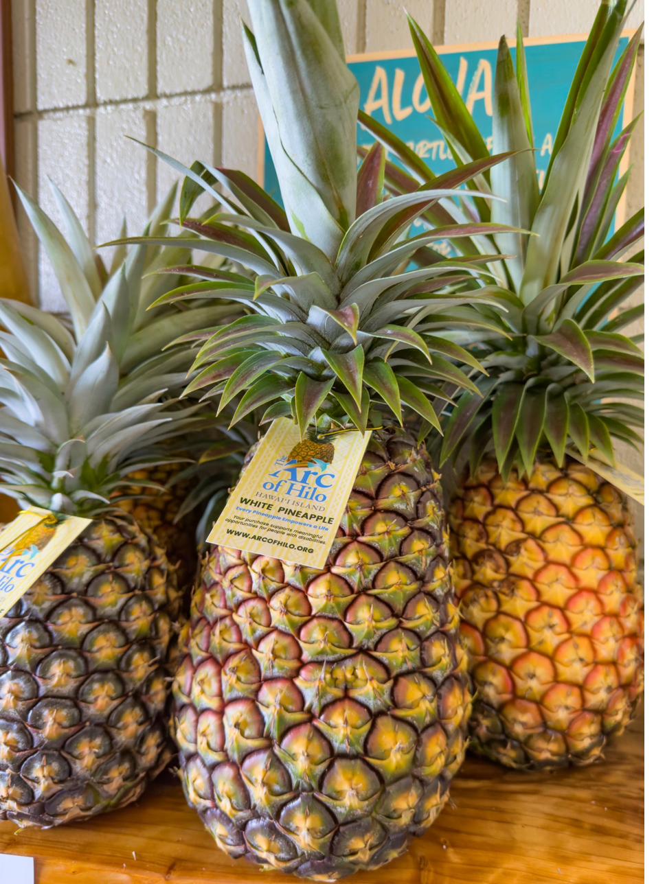 Arc of Hilo white pineapples